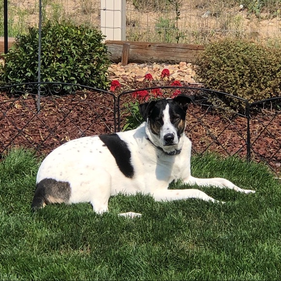 Meet your Posher, Sandra - Picture 4 of 4